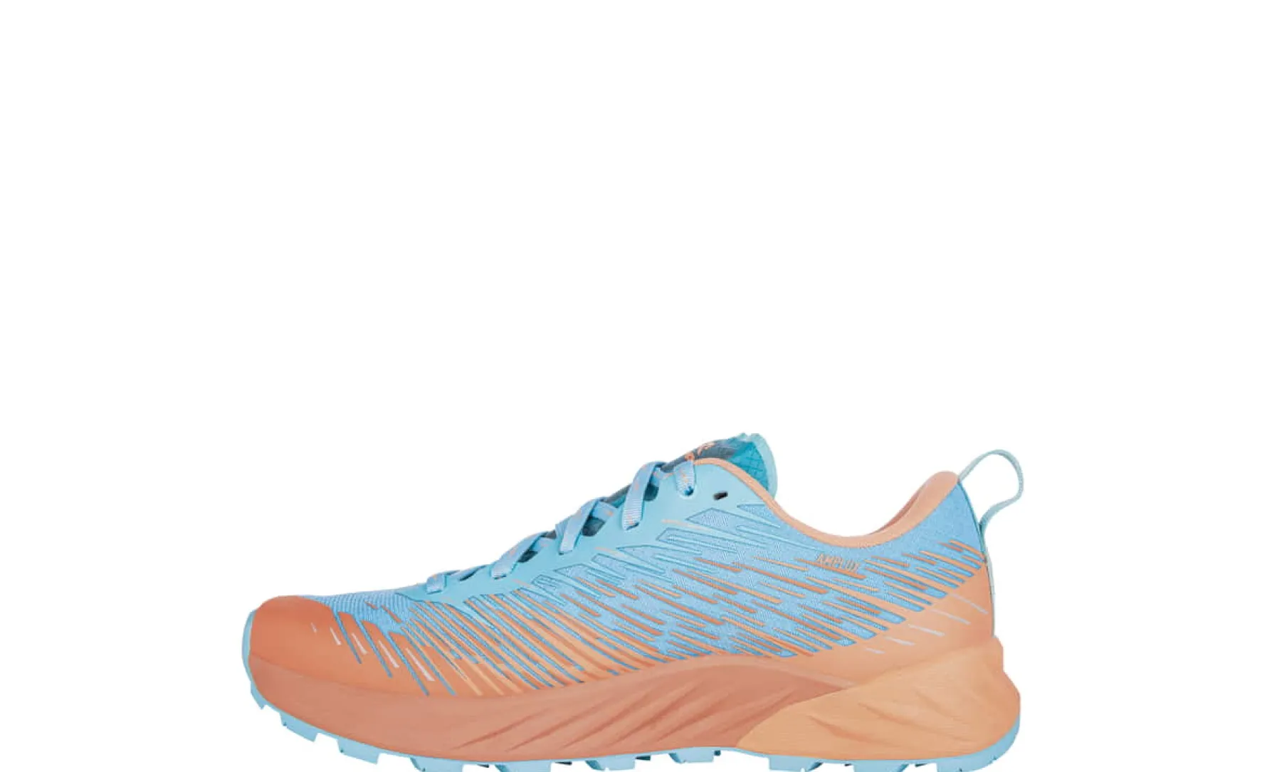 AMPLUX WS - MELON/ARCTIC